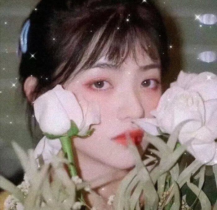当红女秘书